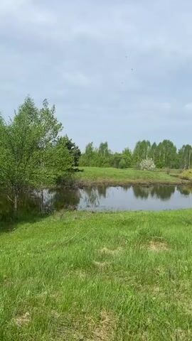 The video shows a peaceful outdoor scene with a body of water surrounded by green grass and trees. The camera pans across the landscape, revealing a dirt path leading into a field. The sky transitions from cloudy to clear blue as the camera continues to pan. The field is a mix of green grass and dry hay, with various trees and bushes scattered around. The overall impression is one of a quiet, rural setting.