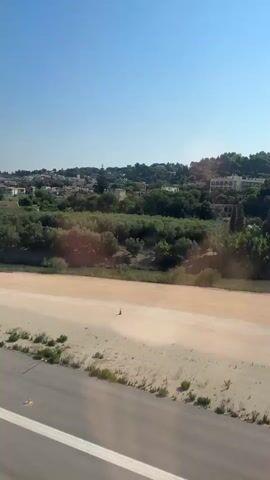 This video shows a view from a moving vehicle, likely an airplane on a runway. The camera is angled downwards and to the side, capturing the ground and the surrounding landscape. The ground in the foreground consists of a paved surface with white markings, possibly a runway or taxiway, transitioning to a sandy area with sparse vegetation. Beyond the sandy area, there is a line of green trees and shrubs, and in the distance, a hilly landscape dotted with buildings, suggesting a town or village. The sky is clear and blue. The vehicle appears to be accelerating or moving at a moderate speed, indicated by the slight blur in the foreground and the passage of scenery. There are no people or other vehicles clearly visible in the frame. The time stamp indicates the video is only a few seconds long.