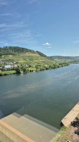 The video shows a view from a moving vehicle, likely a train or car, crossing a bridge over a wide river. The river is calm and reflects the blue sky, with a few faint ripples on its surface. On the left bank, there is a village nestled at the foot of a hill covered in vineyards. The houses are small and clustered together, with some trees scattered around. The hill slopes gently upwards, with rows of vines clearly visible. The sky is a bright blue with a few white clouds. On the right side of the frame, a metal structure, possibly part of the bridge, is visible in the foreground. The vehicle appears to be moving forward, offering a panoramic view of the landscape.