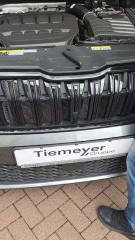 A person stands near the front of a silver car with its hood open, revealing the engine. The car has a black grille and a "Tiemeyer Gruppe" license plate. The engine cover is black and has a stylized design. Various engine components, including the air intake and fluid reservoirs, are visible. The car is on a paved surface.