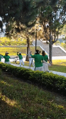 Group performs synchronized outdoor exercise routine in Da Lat park
