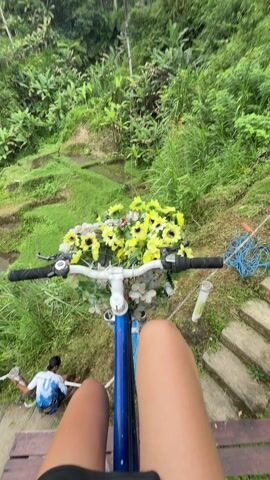 A first-person view shows a person suspended in the air, riding a bicycle decorated with sunflowers, suspended by cables between elevated points above a green, lush landscape. A man in a blue shirt is visible below, appearing to manage the cables or mechanics of the ride. The landscape consists of terraced greenery, possibly rice paddies, with interspersed vegetation including palm trees. The sky is overcast. The focus is on the view from the bicycle, showing its handlebars and a decorative flower basket.