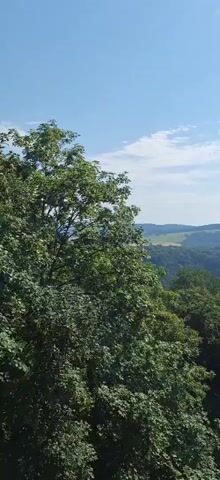 A video shows a view of rolling hills covered in trees under a partly cloudy blue sky. The foreground is dominated by the lush green leaves of trees. The middle ground features more trees and a distant field. The background shows a hazy landscape of hills. The video appears to be shot from an elevated position.