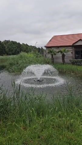 A fountain sprays water in a circular pattern in a pond. Tall green grass grows in the foreground. In the background, there is a building with a red roof and wooden siding, two palm trees, and a line of trees under a cloudy sky.