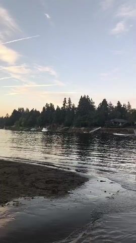 This video shows a body of water with a sandy shore in the foreground. A line of trees forms the background, with several houses visible among the trees. There are a few boats on the water, and the sky above is mostly clear with some wispy clouds. The water appears calm with gentle waves lapping at the shore. The lighting suggests it might be early morning or late afternoon.