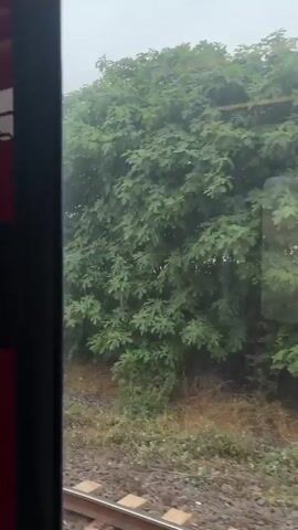 The video shows a view from inside a moving train. Outside the window, there are trees, bushes, and grassy fields. In the distance, mountains are visible under a cloudy sky. Train tracks are visible in the foreground. The camera is stationary relative to the train.