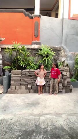 Two young girls are standing in front of a wall made of stacked bricks and lush green plants. The girl on the left is wearing a light brown t-shirt and a patterned skirt, while the girl on the right is wearing a red t-shirt and patterned pants. Both girls have their hands on their hips and appear to be posing.

The background features an orange brick wall with an ornate decorative element, and a grey concrete wall. Behind the plants, there is a building with a white pillar. The ground is paved with concrete.

The scene suggests an outdoor setting, possibly a backyard or a courtyard in a residential area. The lighting indicates it could be daytime, though the exact time of day is not clear. The overall mood seems playful and relaxed, with the girls looking confident and engaged. There is no visible text in the image.