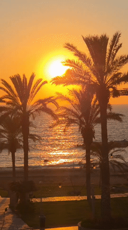 Mediterranean sunset at a Cyprus beach, palm trees and calm water