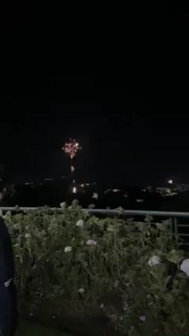 A night-time outdoor scene showing a display of fireworks. The camera is positioned behind a metal railing with flowering bushes in the foreground. Beyond the railing is a view of a city on a hill. The fireworks are exploding in the night sky above the city. A person wearing a dark suit is partially visible on the left of the screen.