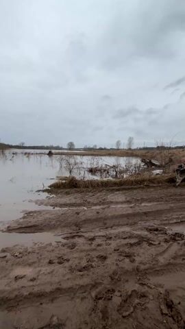 The video shows a body of water extending to the horizon, with a muddy bank in the foreground bearing tire tracks. The water reflects the overcast sky. Bare trees are visible on the horizon and partially submerged near the shoreline. The overall impression is of a flooded area on a cloudy day.