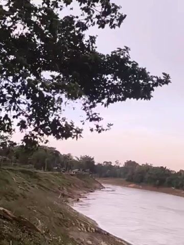 The video shows a wide river flowing through a rural landscape. The riverbanks are lined with trees and vegetation. A few small structures, possibly houses, are visible on the left bank. The sky is overcast with a soft, diffused light, suggesting it is either dawn or dusk. The water appears calm, with a gentle ripple on its surface. A large tree with dark leaves overhangs the scene from the upper left corner, its branches casting shadows. The overall impression is one of a peaceful, natural setting.