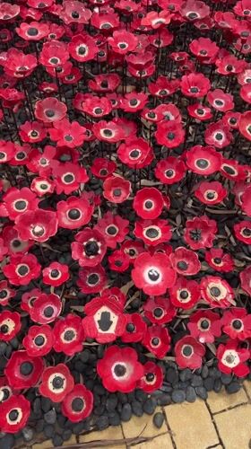 Ceramic poppy peace installation observed in Herzliya, Israel