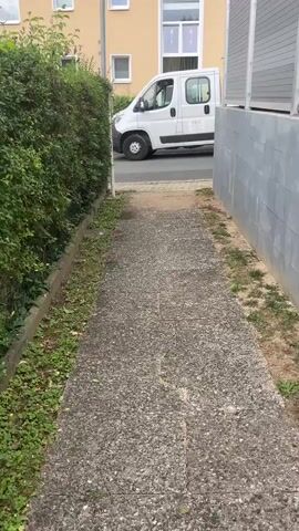 A white van with the logo MKM on the side is parked on the right side of a street. The van is facing left and is slightly angled. There is a concrete path in the foreground. On the left side of the path is a hedge. On the right side of the path is a gray wall. In the background is a yellow building with windows and a white-framed door. The sky is not visible.