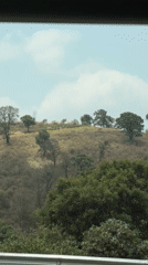 Driver records roadside landscape in Mexican countryside