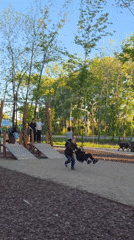 Sunny morning brings families to Birobidzhan park for recreation