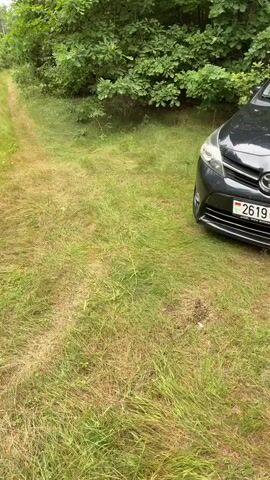 A black vehicle is parked on the right side of a narrow dirt road. The road is surrounded by tall grass and dense trees. The vehicle is facing away from the camera, and its license plate is visible. The camera is moving forward along the road, providing a view of the trees and grass on both sides. The sky is overcast.