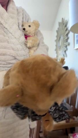 A person in a white bathrobe is holding up a brown teddy bear with a black and white paisley-patterned bow around its neck. The bear is being held in front of the person and moved around slightly. In the background is a room with a wooden chair, a mirror, and a lamp. The teddy bear appears to make a moaning noise.