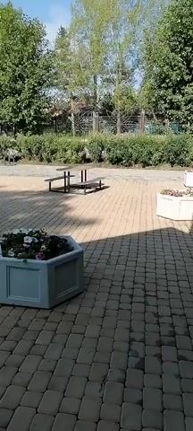 The video shows a paved outdoor area with picnic tables and planters. The camera pans across the scene, revealing trees and bushes in the background. There are no people or animals visible in the video. The area appears to be a park or recreational space.