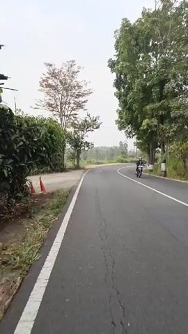 The video captures a first-person perspective of a journey on a paved road. The road curves to the right, flanked by lush green trees and vegetation on both sides. The sky appears overcast. On the left side of the road, there are some orange traffic cones and patches of dirt and grass. On the right side, there are more trees, some of which have white markings on their trunks. A white line delineates the edge of the road. In the distance, there are hints of further trees and rolling hills. The camera appears to be mounted on a moving vehicle, possibly a bicycle or a motorcycle, given the perspective and the slight jolt of movement. There is no explicit interaction between people, but the presence of traffic cones suggests some form of road work or temporary obstruction.