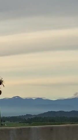 A video opens with a single tall palm tree in the foreground against a backdrop of distant mountains and a hazy sky. The camera pans right, revealing a line of palm trees and other vegetation. The landscape is lush and green, with fields and trees stretching towards the horizon. The sky is filled with light, wispy clouds, suggesting it is either early morning or late afternoon. The video continues to pan, showing more of the mountainous terrain. The overall impression is one of natural beauty and tranquility.