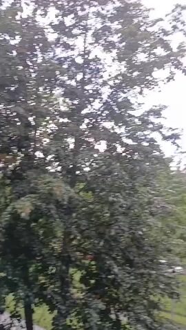 A street scene viewed from an elevated perspective. The sky is overcast with clouds. Trees line a road where several cars and a cyclist are visible. The ground appears wet, suggesting recent or ongoing rain. The video shows a transition of the sky from partly cloudy to heavily overcast.