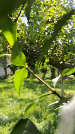 Jangy-Turmush, Kyrgyzstan