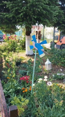 Bucharest backyard garden in full summer swing