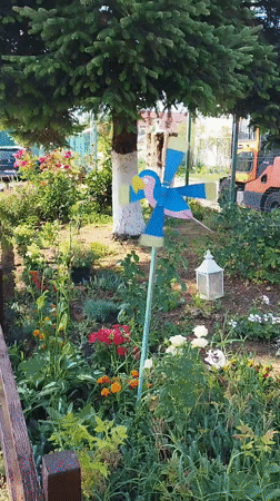 Bucharest backyard garden in full summer swing