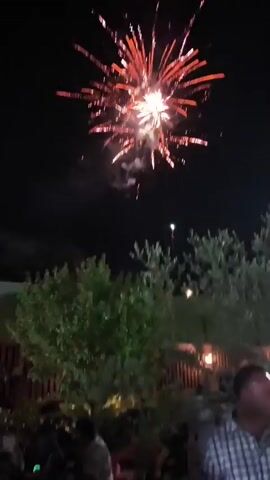 The video shows a fireworks display at night. The sky is dark, and several fireworks are exploding with bursts of red, pink, and purple light. Below the fireworks, trees and foliage are visible in silhouette against the night sky. A wooden fence and some indistinct figures can be seen in the foreground.