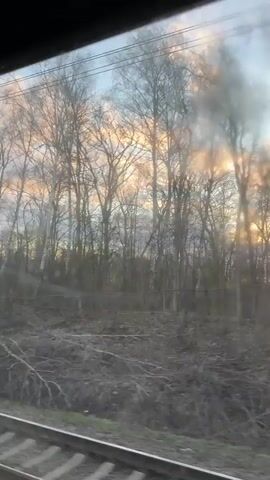 The video shows a view from a moving train. Outside the window, a landscape unfolds with bare trees silhouetted against a soft, colorful sky, likely at sunrise or sunset. The ground beneath the trees is covered in brown vegetation, possibly dead leaves or brush. The train tracks are visible in the lower part of the frame, indicating the motion. A utility pole with numbers passes by quickly, further emphasizing the movement of the train.