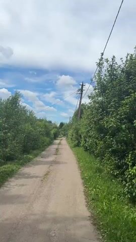 A dirt road winds through a rural landscape under a partly cloudy sky. Dense green trees line both sides of the road. A telephone pole with wires is visible on the right side of the frame. The road appears to be empty of people or vehicles. The overall impression is one of a quiet, natural setting.