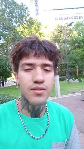 Here is a concise description of the video:

The video shows a young man with brown hair, a neck tattoo, and a chain. He is wearing a green and grey shirt and is standing in a park with trees, a brick walkway, and concrete tables and stools. In the second part of the video, the camera shifts to a person with dark hair, showing a cut on the back of their head. An ATV is in the background. The person speaking suggests the cut occurred during a fall.