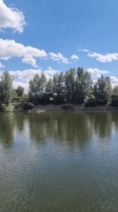 Quiet afternoon on the Dniester River near Tiraspol