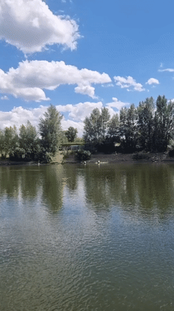 Quiet afternoon on the Dniester River near Tiraspol