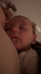 Valentine's Evening Family Moments Documented in German Household