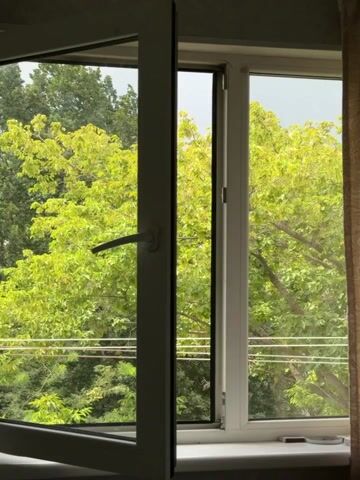 A wide shot shows an open window with a view of lush green trees and a cloudy sky. The window is white and has a silver handle. A brown curtain hangs on the right side of the frame. The scene is illuminated by natural light.