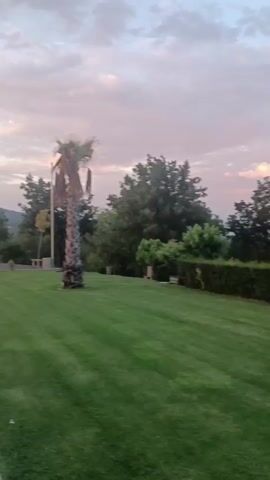 The video shows an outdoor playground at dusk. The playground has multiple colorful slides and structures. A table and bench are nearby on a paved area. Beyond the playground, there is a green lawn with a single palm tree. In the distance, there are mountains silhouetted against a cloudy sky. The overall scene has a peaceful and serene atmosphere.