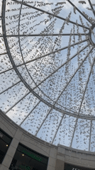 Shopping mall dome interior with decorative elements observed in Belgrade