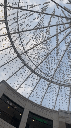 Shopping mall dome interior with decorative elements observed in Belgrade