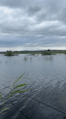 Fishing scene captured at Russian waterway under overcast skies