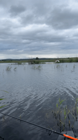 Fishing scene captured at Russian waterway under overcast skies
