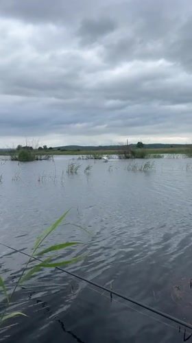 Fishing scene captured at Russian waterway under overcast skies