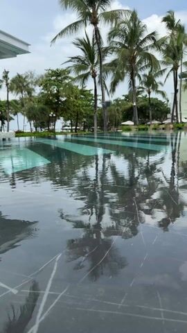 The video shows a swimming pool with dark grey tiles reflecting the tall palm trees and sky above. The water is slightly rippled, creating distorted reflections. The pool's edge is visible in the foreground, showing the texture of the tiles. In the background, there are additional trees and glimpses of buildings. The sky is overcast, suggesting a cloudy day.