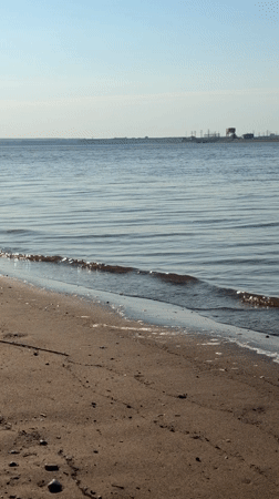 Early morning beach walk captured in Noviy, Russia