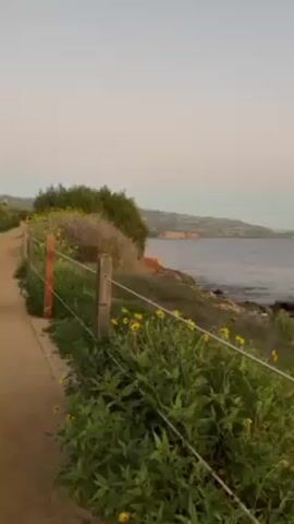 The video shows a scenic coastal landscape at dusk. The camera slowly pans right from a dirt path with a rope fence lined with green plants and yellow flowers, revealing the rocky shoreline and calm ocean. In the background, there is a distant, hilly coastline. The sky is a pale gradient of pink and blue. The scene is peaceful, with no people or actions visible.