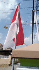 Indonesian flags flying in Simo on Independence Day morning