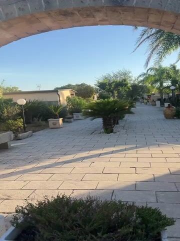 The video pans across a paved walkway bordered by a garden and buildings. The walkway is made of large, light-colored rectangular stones, with shadows cast by palm trees and other vegetation. Several potted plants, including cycads and palms, are visible along the path. To the left, there are low buildings with windows and a lamp post. To the right, the path continues, lined with more palm trees and planters. In the distance, a few people can be seen walking along the path. The sky is clear and blue, suggesting it is daytime. An arched structure is visible in the foreground, framing the scene.
