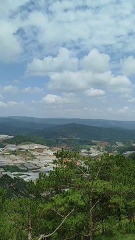 A wide, high-angle shot shows a vast expanse of greenhouses stretching across rolling hills under a partly cloudy sky. In the foreground, the tops of pine trees frame the scene. A woman wearing a white shirt, white skirt, and white baseball cap sits on a wooden railing, looking out at the landscape. She is wearing sunglasses and has her left arm resting on the railing. A wooden post with a bird figurine on top stands to her right. The greenhouses, a patchwork of white plastic sheeting, cover the hillsides, interspersed with patches of green vegetation and darker forested areas. The overall impression is one of agricultural activity in a hilly, natural environment.