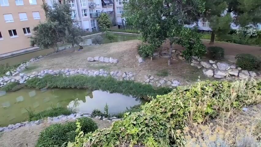 A high-angle drone shot pans across a park with a pond and surrounding buildings. Trees and bushes are scattered throughout the park, some with foliage and others bare. In the foreground, there are two large rocks. The pond water is murky green, with some areas appearing muddy. The park has a small, man-made island in the pond with some rocks and grass. There is a building with multiple floors and windows on the left side of the shot. In the background, there are more buildings and trees. The sky is overcast. The drone moves from left to right and slightly upwards. The lighting suggests it is either early morning or late afternoon. There are no people visible in the video.