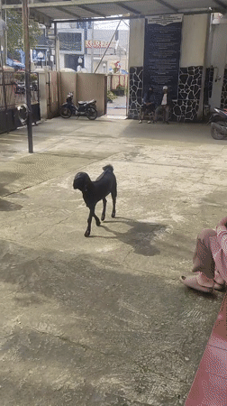 Everyday street life documented in Bogor, Indonesia